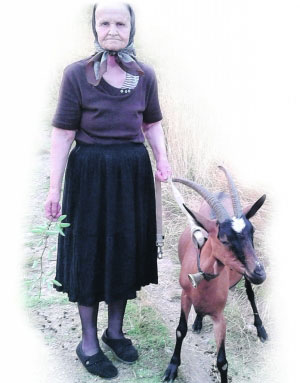 Moli se za sve ljude: Milenija Pavlović i njena koza