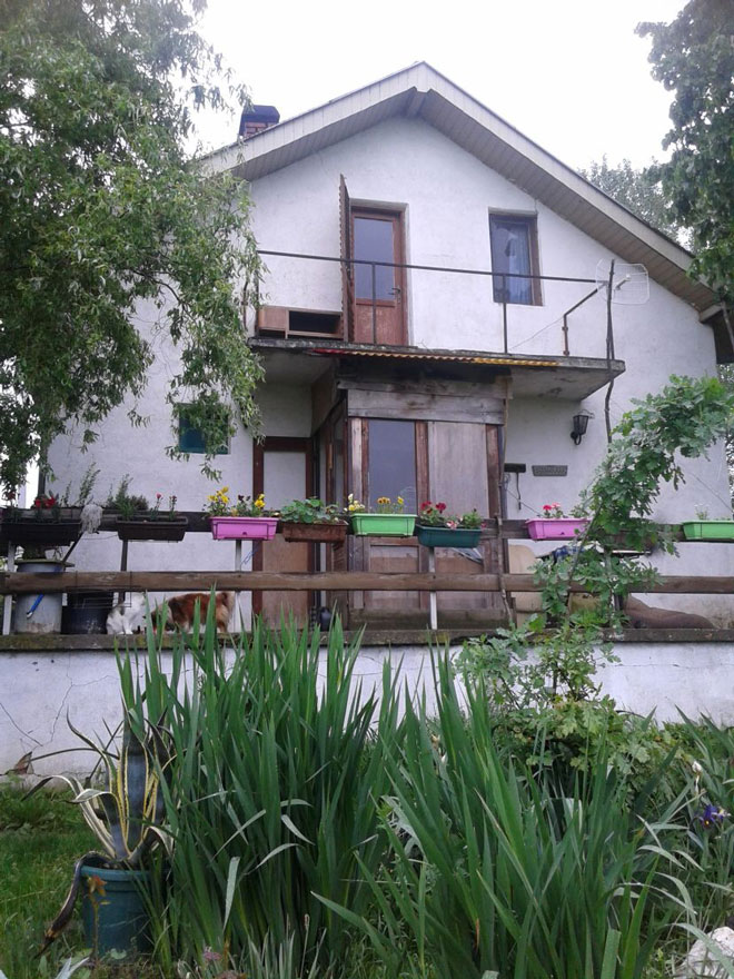 Avramovici2